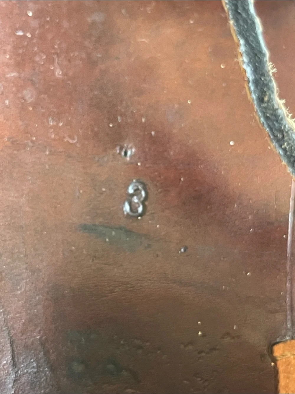 N/A classic brown
